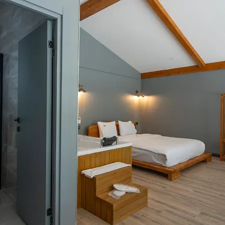 Sapanca Kokina Vila *