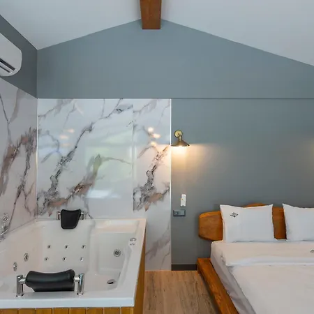 Vila Sapanca Kokina Sakarya (Marmara)