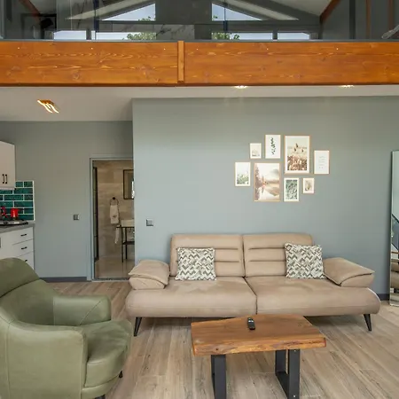 Sapanca Kokina Vila *